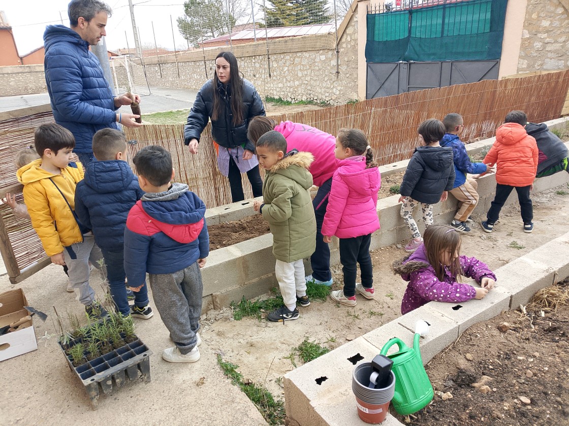 El alumnado del CRA Cuna del Jiloca cuida su entorno plantando árboles
