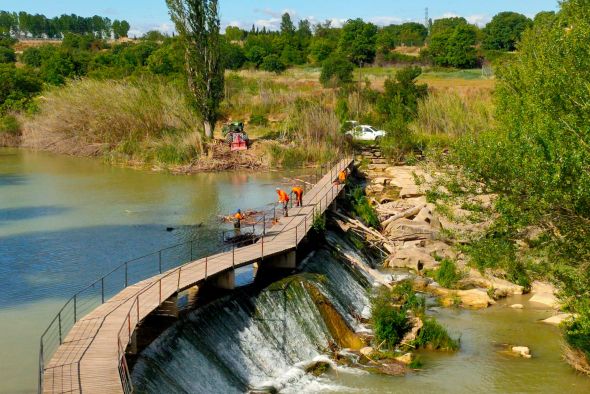 Alcañiz refuerza el desbroce en la ribera del Guadalope por vegetación
