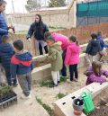 El alumnado del  CRA Cuna del Jiloca cuida su entorno plantando árboles