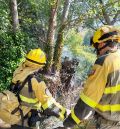 Un incendio prende 1.200 m2  de ribera junto  al parque del Lago de Alcorisa